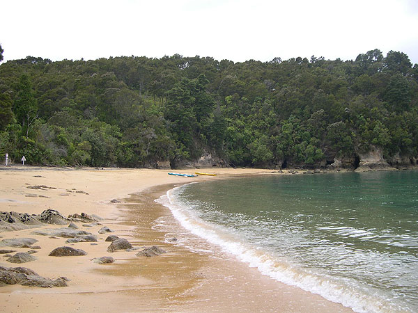 View our NZ photo albums