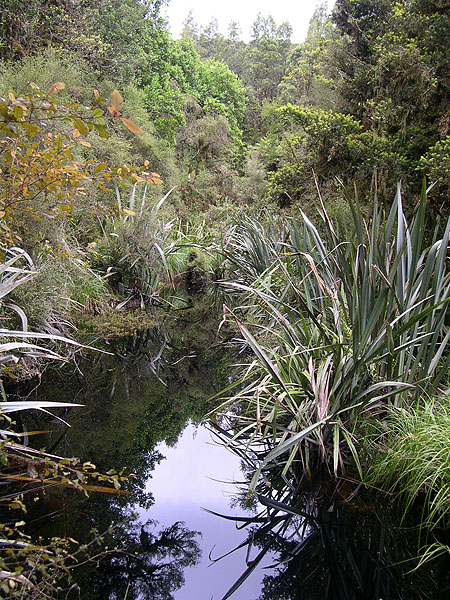 View our NZ photo albums