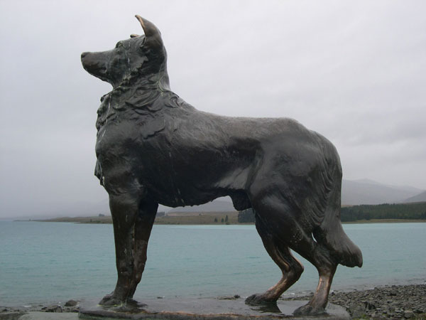 View our NZ photo albums