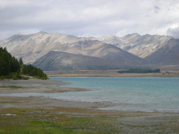 View our NZ photo albums