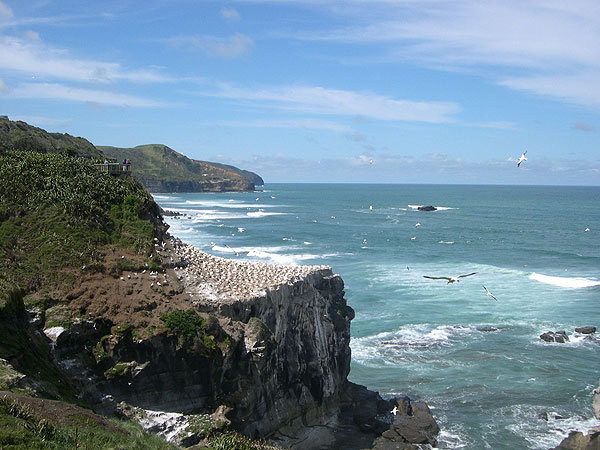 View our NZ photo albums
