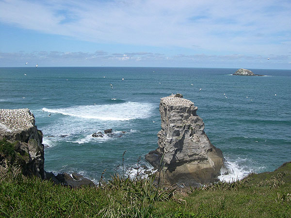 View our NZ photo albums