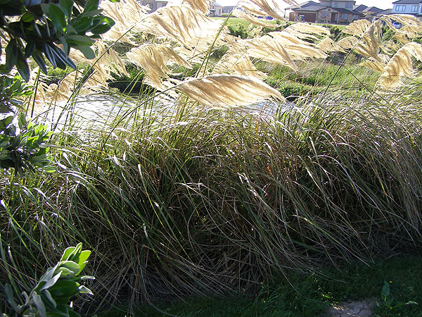 View our NZ photo albums