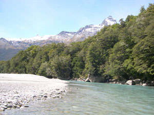 View our NZ photo albums