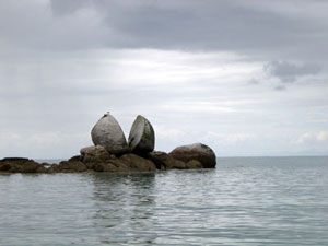 View our NZ photo albums