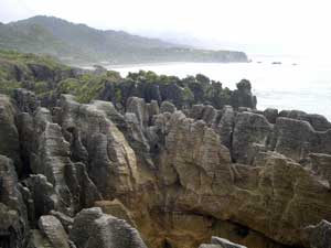 View our NZ photo albums